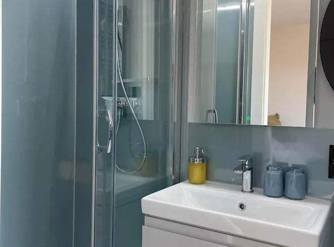 Hausboot Schwanennest 船屋 *